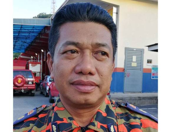 MOHAMAD SHOKI HAMZAH