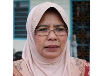 Ahli UMNO bukan sasaran: Hamidah