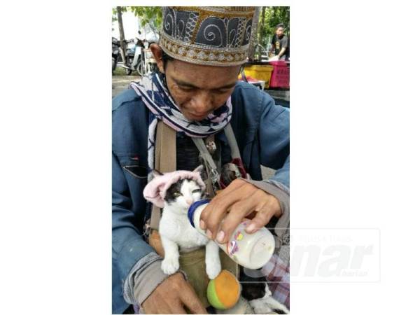 Mohd Fitri memberi susu kepada salah seekor kucing peliharaannya menggunakan botol susu bayi.