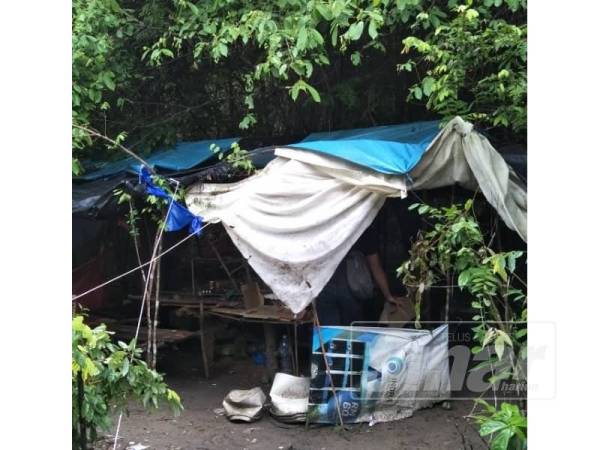 Port panas dadah yang dijumpai dimusnahkan oleh polis dalam operasi tersebut.