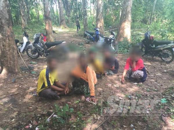 Kesemua ditangkap kerana melakukan kesalahan berkaitan dadah.