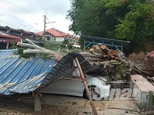 Tiga kereta dan sebuah garaj rosak akibat ditimpa pokok tumbang di Taman Dahlia semalam.