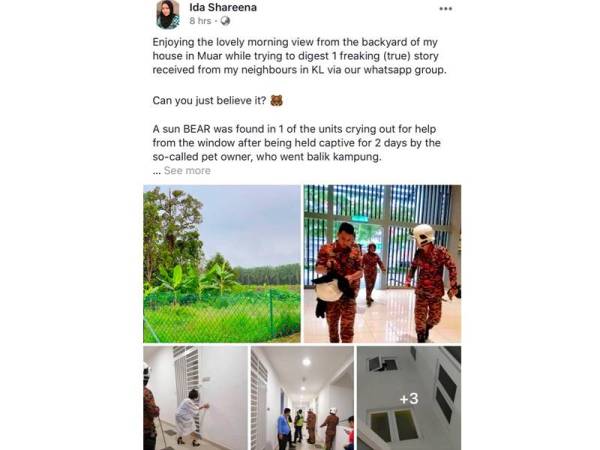 Perkongsian dibuat oleh pengguna Facebook menggunakan nama Ida Shareena.