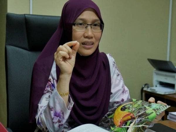 Ketua Pengarah Penyelidikan Program Konservasi dan Penggunaan Sumber Agrobiodiversiti, Pusat Penyelidikan Biodiversiti dan Persekitaran, Institut Penyelidikan dan Kemajuan Pertanian Malaysia (Mardi), Dr. Rosliza Jajuli. - FOTO BERNAMA