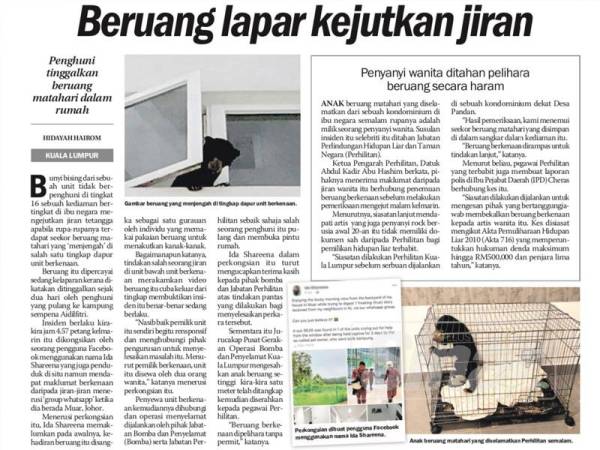 Laporan Sinar Harian tentang penemuan beruang yang mengejutkan penduduk sebuah kondominium di Desa Pandan.