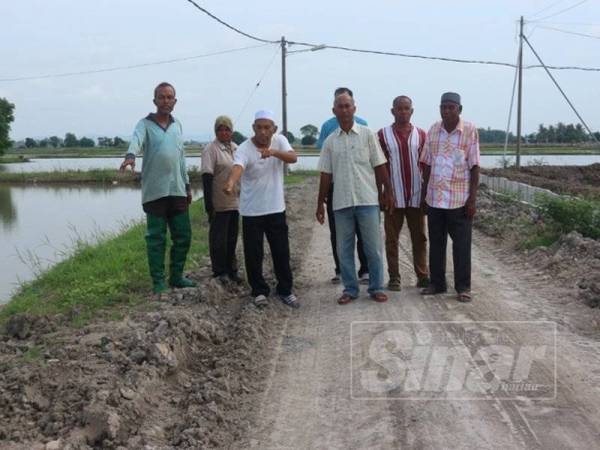 Pesawah menunjukkan jalan utama kampung mereka yang rosak teruk akibat projek berkenaan.