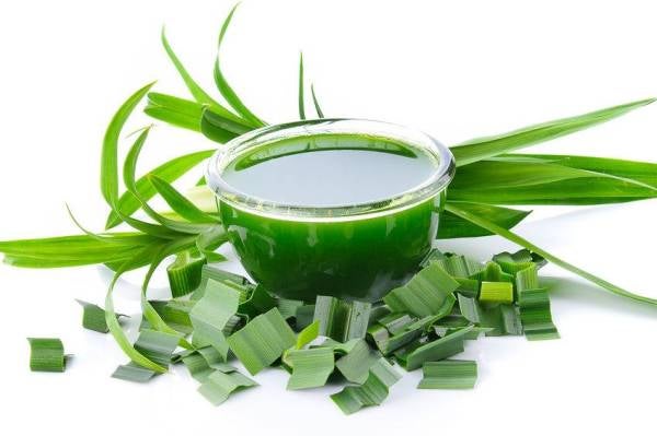 Daun pandan cegah kelemumur