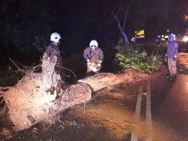 Anggota bomba memotong dan mengalihkan pokok yang tumbang sehingga menyebabkan seorang remaja cedera dalam kejadian tersebut. - FOTO IHSAN BOMBA