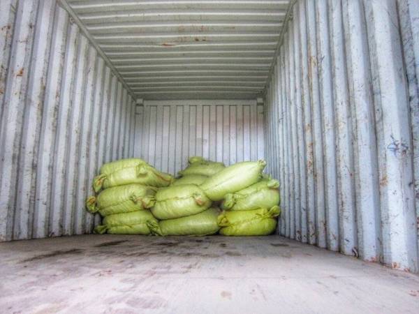 Maqis berjaya menumpaskan kegiatan menyeludup ikan bilis pagi tadi.