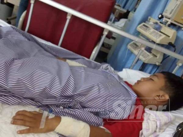 Rafiki kini dirawat di HRPZ II akibat kecederaan tersebut.