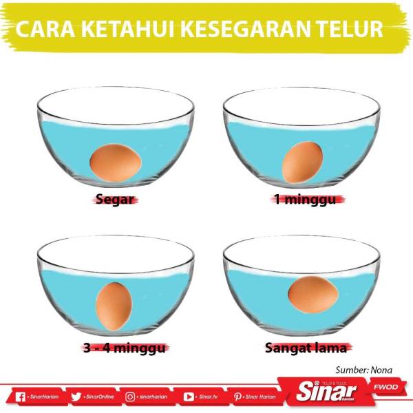 WhatsApp Image 2019-06-18 at 13.53.42