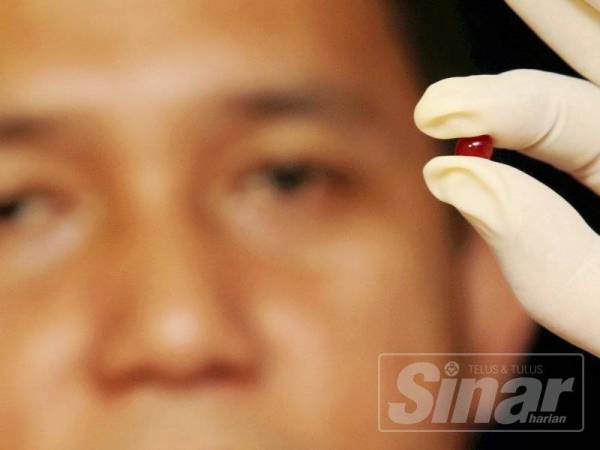 Polis menunjukkan batu delima yang didakwa mempunyai 'kuasa' tarik duit.