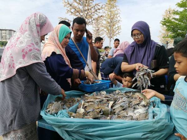 Pelanggan menunggu sejak jam 7 pagi untuk mendapatkan ketam yang dijual pada harga murah.