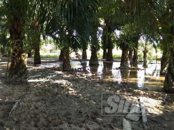 Sebahagian kawasan belakang rumah salah seorang penduduk yang dinaiki air di Kampung Sikh Settlement, di sini.