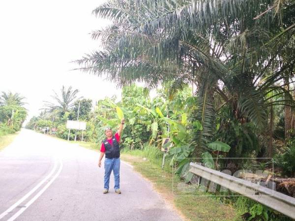 Shabudin menunjukkan pelepah sawit yang menghalang pemandangan yang terletak berhampiran selekoh kampung berkenaan.