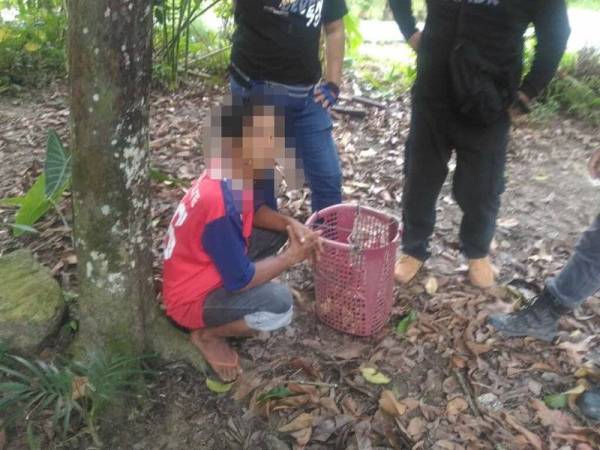 Anggota AADK mengambil masa kira-kira 8 minit untuk memujuk lelaki berkenaan turun daripada pokok.