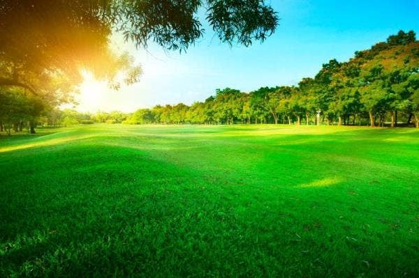 Meskipun kebanyakan orang dahulu berwakaf hanya dengan 'cakap mulut', tetapi wakaf mereka sah jika ia menepati rukun wakaf. -Gambar hiasan.