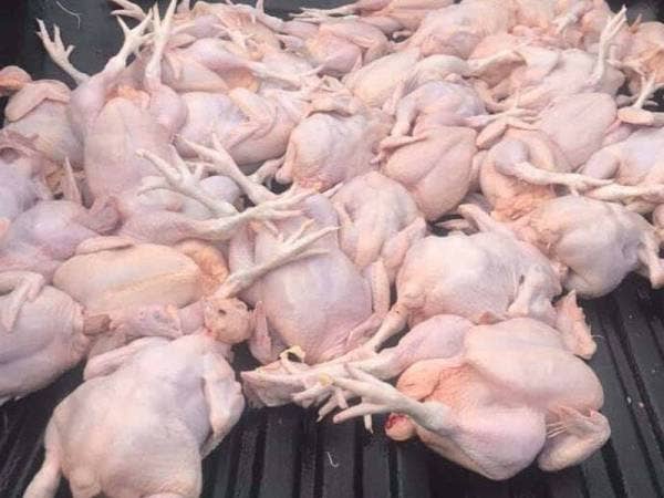 Ayam mentah yang dikesan berada dalam kenderaan pacuan empat roda.