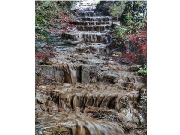 Trek laluan berlumpur yang mencabar di puncak bukit, dengan suhu mencecah 2 darjah selsius.