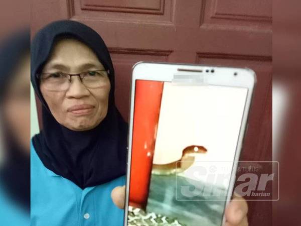 Mariati menunjukkan ular tedung selar yang menyelinap masuk ke bilik utama kediamannya.
