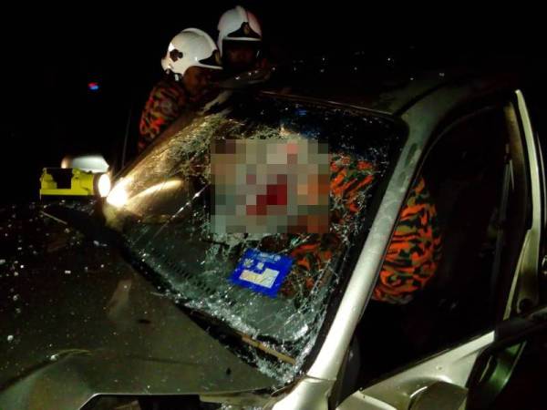 Anggota Bomba dan Penyelamat Balai Rompin sedang mengeluarkan mangsa tersepit dalam kemalangan maut malam tadi.
