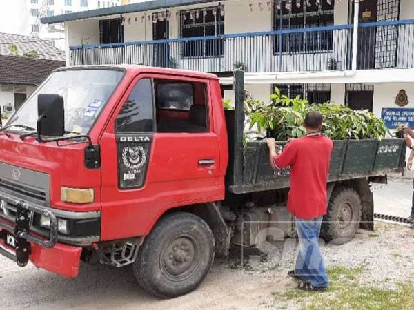 Lori tiga tan yang sarat dengan benih pokok turut disita. - Foto ihsan Pasukan Polis Marin.
