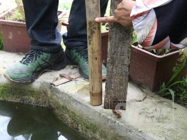 Mangsa dipercayai lemas selepas terjatuh dalam kolam ikan yang mempunyai kedalaman dianggarkan 0.6 meter, semalam.