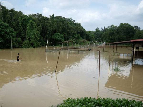  Seorang remaja terpaksa meredah air sedalam kira-kira satu meter untuk ke kawasan gerainya yang telah ditenggelami air akibat banjir kilat dekat Melaka Pindah, hari ini. - Foto BERNAMA