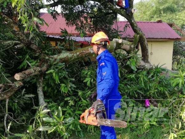 Anggota APM sedang membersihkan pokok yang tumbang di hadapan rumah mangsa