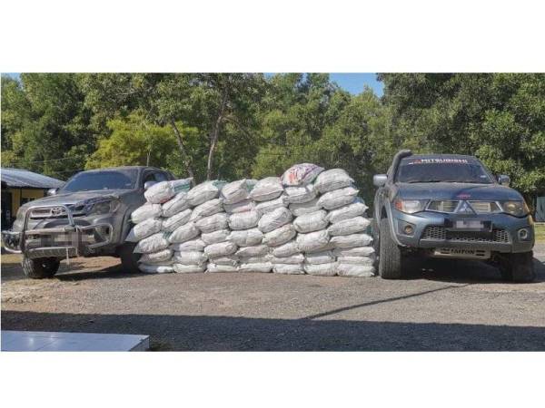  Daun ketum yang dirampas.