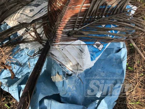 
Rokok disorok bawah plastik biru dan guni baja.