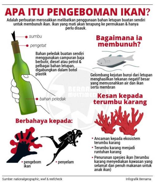 Apa itu pengeboman ikan?
