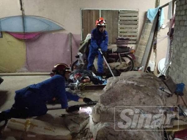 Anggota APM Padang Terap bertungkus lumus menangkap ular tedung selar berkenaang berjaya ditangkap