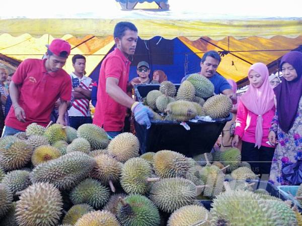 Pekerja Pemburu Buah Group melonggokkan ratusan biji durian untuk diisi sampai penuh dalam plastik yang dijual hanya RM10 sahaja.