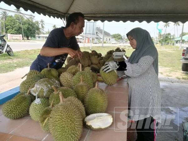 Nurul Syahira menunjukkan isi durian kepada pelanggan bagi mengelak rungutan selepas membeli