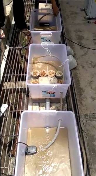 Ujian makmal menunjukkan bagaimana inovasi colufnas berfungsi.