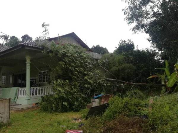 Antara rumah musnah dalam satu kejadian ribut petang semalam. FOTO - Ihsan APM