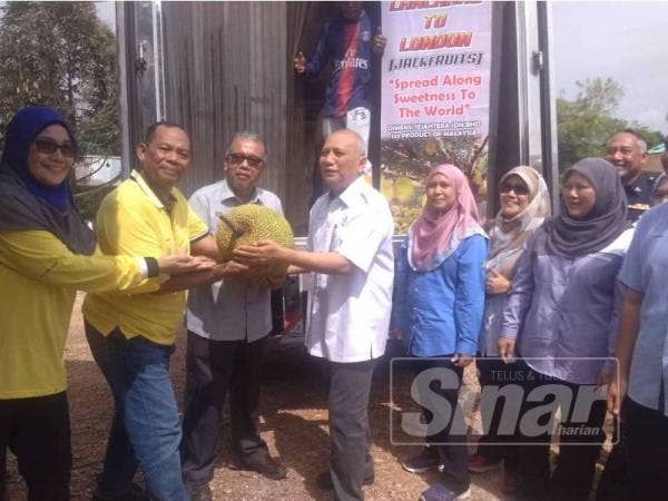 Mohd Soffi (empat, kiri) bersama nangka madu yang dihasilkan di ladang itu bersama Yussof (dua, kiri) sempena perasmian "Lanchang to London" di TKPM Lanchang hari ini.
