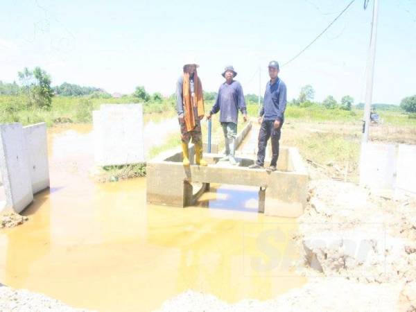 Pesawah menunjukkan projek longkang yang terbengkalai sejak tiga bulan lalu.