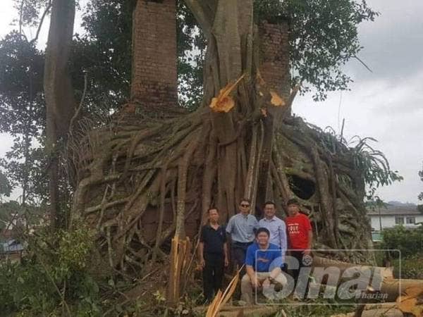 Tung Siong ( dua dari kiri) berdiri di hadapan bangunan lama di sebalik akar pokok yang ditemui di Lorong B20 Pekan Nanas, semalam.