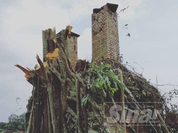 Bangunan lama di sebalik akar pokok yang ditemui di Lorong B20 Pekan Nanas perlu dikekalkan sebagai bahan sejarah kepada Pekan Nanas.
