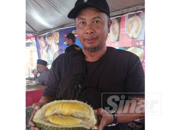 Lutfi menunjukkan antara jenis Musang King Tanah Merah yang dijual di gerai Komuniti Musang King Tanah Merah.