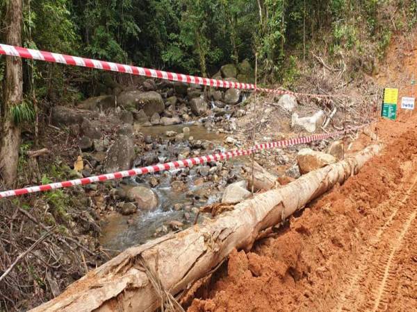 Antara aktiviti pembinaan jalan hutan dan laluan lori balak di kawasan berkenaan. FOTO IHSAN PEMBACA