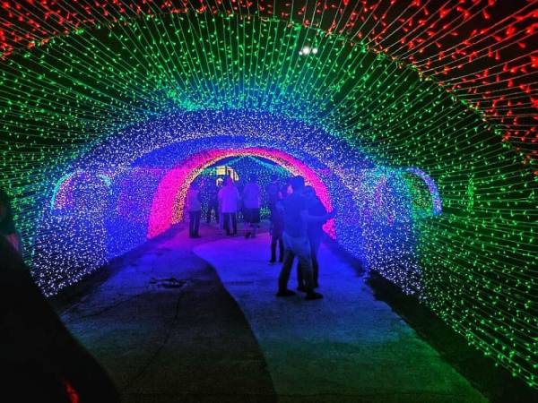 Antara lampu LED yang menjadi tarikan pengunjung di karnival tersebut.