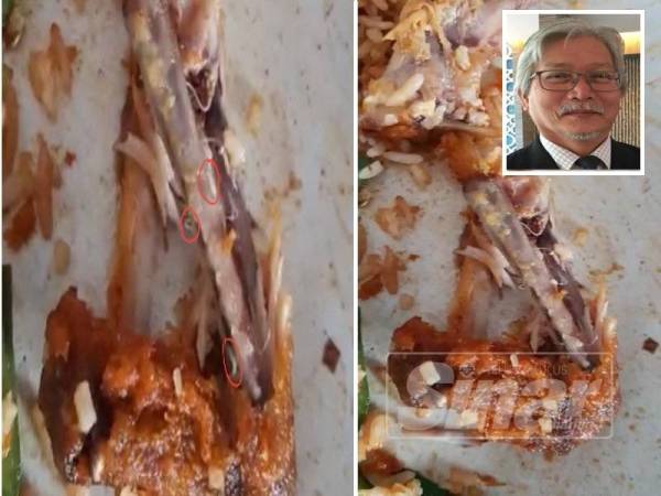 Ayam goreng yang dikatakan berulat (bulatan merah). Gambar kecil: Dr Zainuddin.