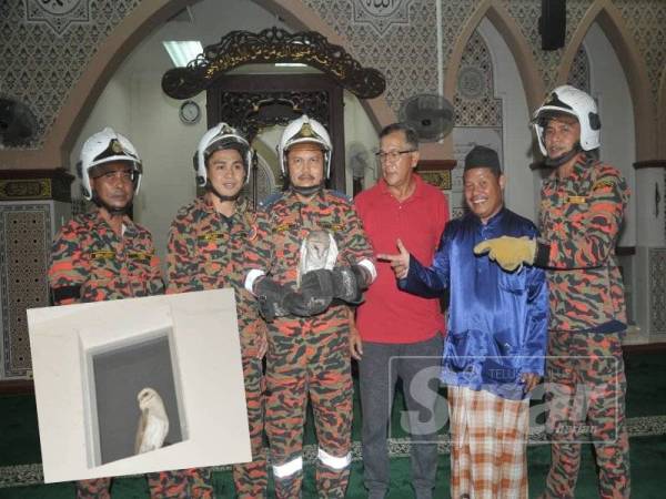Burung hantu yang berjaya ditangkap dengan selamat tanpa sebarang kecederaan. (Gambar kecil: Burung hantu yang terperangkap di dalam Masjid Kariah Desa Anggerik.)