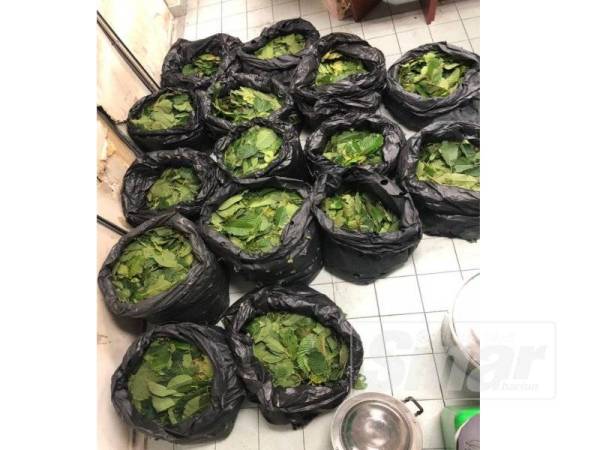 Kesemua 15 bungkusan hitam daun ketum yang dirampas dianggarkan bernilai RM5,000.