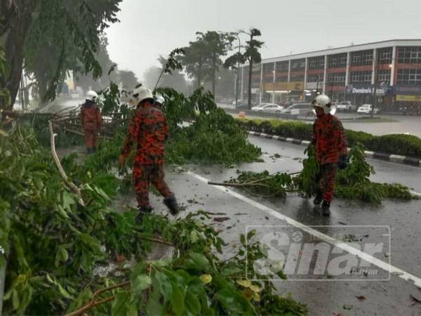 Anggota bomba membersihkan pokok yang tumbang di laluan Jerantut-Benta petang tadi.
