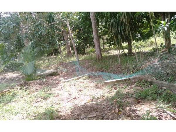 Pagar di rumah salah seorang penduduk yang rosak susulan kehadiran gajah di Kampung Temenin Baru.