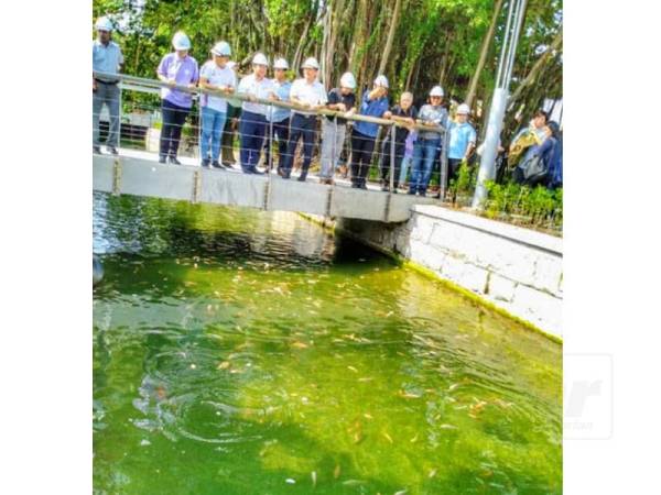 Isu Terusan Prangin mula diperkatakan setelah gambar Kon Yeow melawat tapak projek Sabtu lalu tular di media sosial.